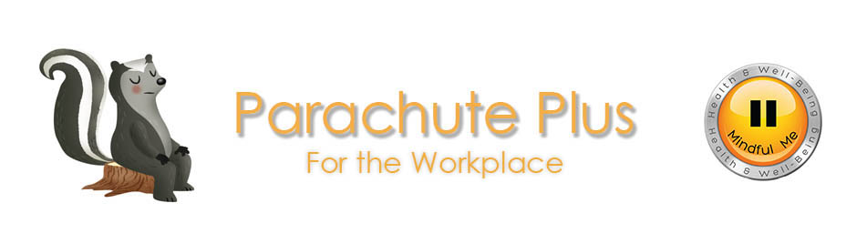 mindful-parachute-plus workplace